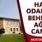Has Odabaşı Behruz Ağa Camii  |  Fatih Belediyesi (Mustafa Demir)