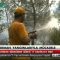 Türkiye Orman Yangınları İle Mücadelede Büyük Bir Başarıya İmza Attı…